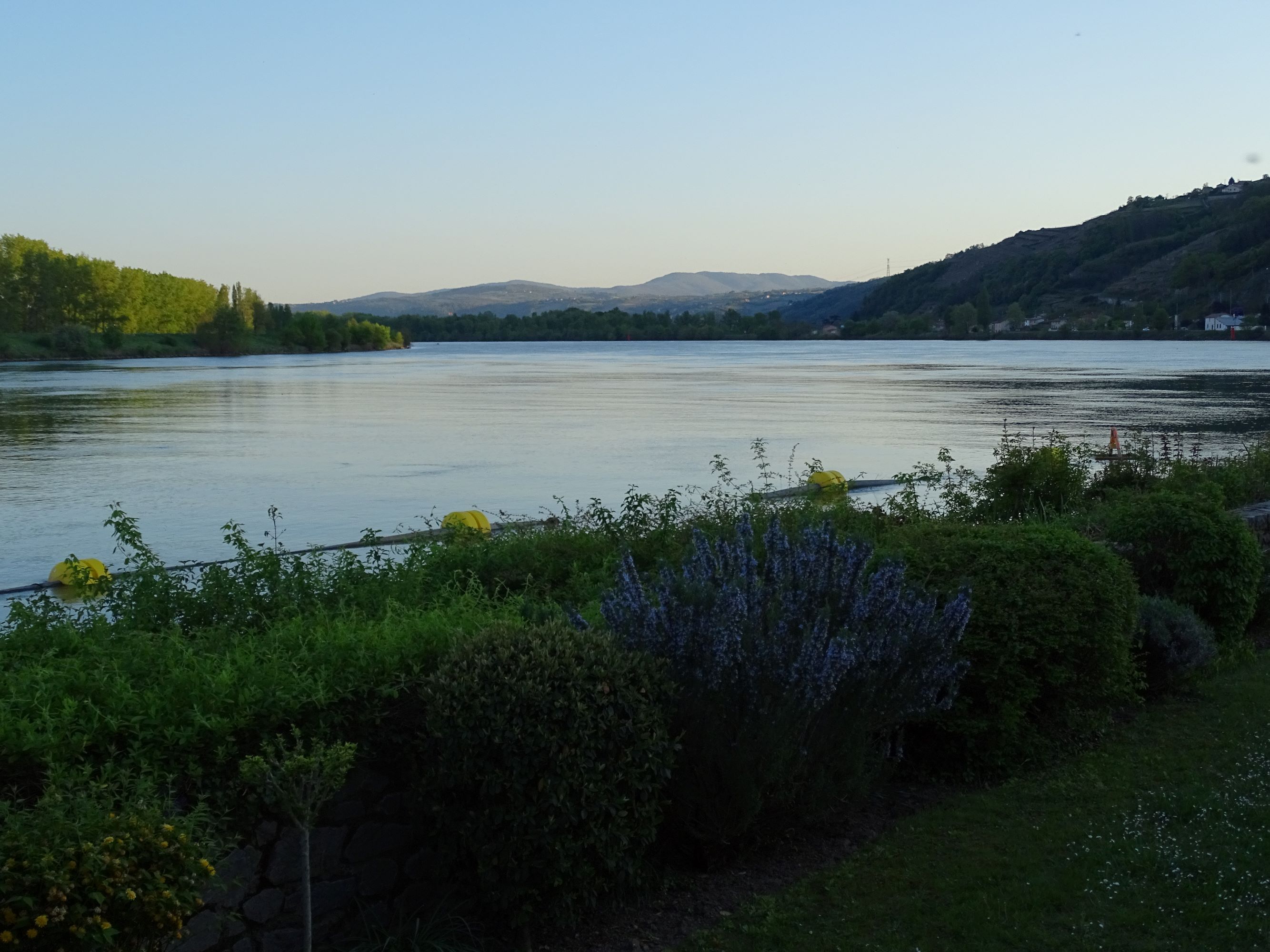 Rhone ved Cote Rotie